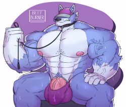 abs absurd_res anthro balls barazoku beefburner biceps big_muscles black_nose blue_body blue_fur bulge canid canine canis clothing digital_media_(artwork) flaccid fur genitals hand_on_lap hat headgear headwear hi_res holding_leash holding_object humanoid_genitalia humanoid_penis leash leash_and_collar leash_pull male male_only mammal mostly_nude muscular muscular_anthro muscular_male nipples pecs penis signature simple_background solo solo_male underwear vein veiny_muscles veiny_penis white_body white_fur wolf