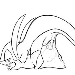 Pokemon (Species) Rule 34 Image