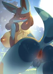 female lucario from game freak by ashraely