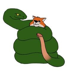 2boys absurd_res anthro big_penis canid canine coiling duo fox fur genitals green_body hi_res humanoid_genitalia humanoid_penis imminent_penetration imminent_sex immobile immobilization male male/male male_only mammal monophallia orange_body orange_fur penis penis_tail reptile restrained rowancrimes scalie snake tail tail_genitals tail_penis tail_play trapped unusual_anatomy unusual_genitalia_placement unusual_penis_placement unusual_tail yellow_eyes