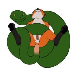 2boys absurd_res anal anal_sex animal_genitalia animal_penis anthro canid canine canine_genitalia canine_penis coiling duo fox fur genitals green_body hi_res male male/male male_only mammal monophallia orange_body orange_fur pawpads penetration penis penis_tail reptile rowancrimes scalie sex snake tail tail_fetish tail_genitals tail_penis tail_play tail_sex unusual_anatomy unusual_genitalia_placement unusual_penis_placement unusual_tail yellow_eyes