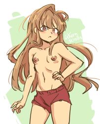 1girls aisaka_taiga akirascrolls angry areolae blush brown_hair disgust disgusted female frown hand_on_hip light_skin long_hair looking_at_viewer male_swimwear male_swimwear_challenge nipples small_breasts solo toradora!