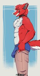 absurd_res bulge canid canine canis chest_tuft clothing fur hi_res leleo male male_only mammal meme racket red_body red_fur tight_pants_(meme) tuft underwear wolf ych