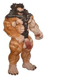 2022 5_fingers absurd_res anthro arm_markings axazu_(suzushinako) balls bangs bear beard big_penis black_hair body_hair brown_body brown_fur chest_hair chest_markings chest_tuft facial_hair fingers fist fur genitals hair hair_over_eye hairy_balls happy_trail hi_res imato leg_markings male male_only mammal markings one_eye_obstructed pawpads penis pubes shoulder_markings solo swirl_pattern tuft ursine