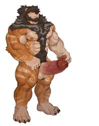 2022 5_fingers absurd_res anthro arm_markings axazu_(suzushinako) balls bangs bear beard big_penis black_hair body_hair brown_body brown_fur chest_hair chest_markings chest_tuft erection facial_hair fingers fist fur genitals hair hair_over_eye hairy_balls happy_trail hi_res imato leg_markings male male_only mammal markings one_eye_obstructed pawpads penis pubes shoulder_markings solo swirl_pattern tuft ursine