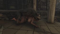 1girls 3d animated dog doggy_style female mp4 naked nude skyrim sound tagme the_elder_scrolls video zoophilia