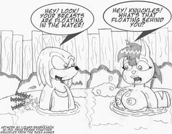 anthro breasts crossover drawn_together echidna female knuckles_the_echidna lizardsharkragon male monochrome ni-pul nude partially_submerged sonic_(series) tagme toony water