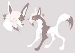 Animal Genitalia Rule 34 Image