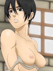 anime attack_on_titan breasts female hentai looking_sideways mikasa_ackerman nude nude_female shingeki_no_kyojin