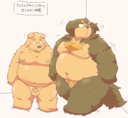 2023 anthro balls bear belly big_belly canid canine canis domestic_dog duo erection genitals hi_res kemono male male/male mammal micropenis moobs nipples overweight overweight_male penis penis_size_difference small_penis suishou0602