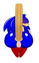 anal anal_penetration anal_sex animated big_ass big_penis black_nose ctrl-z disembodied_penis female female_focus female_only genderbender gif green_eyes partially_clothed puffy_pussy purple_eyeshadow pussy red_shoes rule_63 sex sonic_the_hedgehog sonic_transformed_2 sonique_the_hedgehog tail