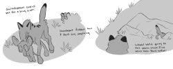 Warriors (Cats) Rule 34 Image