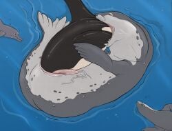 2018 anatomically_correct anatomically_correct_genitalia anatomically_correct_penis animal_genitalia animal_penis anus black_body bodily_fluids body_in_mouth body_in_pussy cetacean cetacean_genitalia cetacean_penis cum cumshot detailed_background dolphin duo_focus ejaculation erection female female_pred feral feral_pred feral_prey feral_unbirthing_feral fur genital_fluids genitals grey_body grey_fur group hi_res leopard_seal male male/female male_prey mammal marine multicolored_body neck_bulge oceanic_dolphin oral_vore orca partially_inside penis pinniped pussy seal soft_vore spots spotted_body spotted_fur stomach_bulge strega tail tapering_penis teeth toothed_whale two_tone_body unbirthing underwater vaginal_penetration vore water