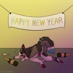gordiethecollie from holidays