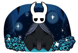 ai_generated anthro arthropod balls black_body black_eyes cloak clothing flaccid foreskin genitals glans hellsonger hellsonger_hollow_knight_ai_art hi_res hollow_knight horn humanoid_genitalia humanoid_penis insects looking_at_viewer male navel penis protagonist_(hollow_knight) sitting solo team_cherry vessel_(species)