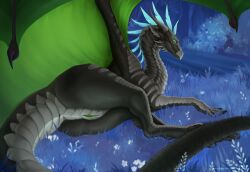 ass black_body black_scales dragon female feral genitals green_membrane green_pussy grey_body grey_horn grey_scales hi_res horn membrane_(anatomy) membranous_wings mythological_creature mythological_scalie mythology pussy scales scalie solo wings ztalex