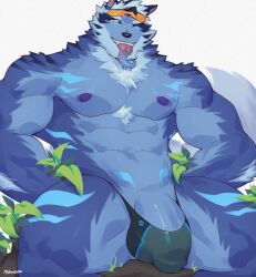 abs anthro barely_contained barely_contained_penis canid canine canis clothing flaccid genitals hi_res lifewonders male male_only mammal mikauzato muscular muscular_anthro muscular_male nipples pecs penis solo solo_male thong tindalos_(tas) tokyo_afterschool_summoners underwear wolf