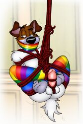 2024 4_toes anthro anthrofied ass balls bedroom_eyes black_nose bondage bound brown_body brown_fur canid canine canis clothing disney dodger_(disney) domestic_dog erection feet folwilliar fur gag gagged genitals hindpaw hunting_dog jack_russell_terrier legwear legwear_only lgbt_pride male male_only mammal mostly_nude mostly_nude_anthro mostly_nude_male multicolored_body multicolored_fur narrowed_eyes oliver_and_company paws penis pride_colors rainbow_pride_colors restraints rope rope_bondage seductive solo stockings stockings_only story story_in_description suspension suspension_bondage tape tape_gag terrier toes two_tone_body two_tone_fur white_body white_fur