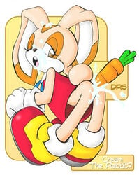 color cream cream_the_rabbit drs female female_only fur furry rabbit sega solo sonic_(series)