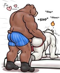 alanottaviano anal anthro bara barazoku bear belly brown_bear brown_body brown_fur clothing duo footwear fur furry genitals grizzly_bear male male/male mammal musclegut muscular muscular_male overweight overweight_male penis polar_bear sex socks ursine