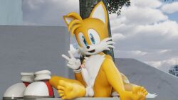 16:9 3d 3d_(artwork) anthro balls barefoot blender_(software) canid canine casual clothing digital_media_(artwork) erection feet foot_fetish foot_focus footwear fox fuckboy fur genitals gesture handwear hi_res looking_at_viewer male mammal penis sega shoes shoes_removed smile soles solo sonic_(series) sonic_the_hedgehog_(series) tail tails toes twintails3d two_tone_body two_tone_face v_sign widescreen