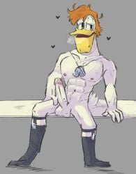 1boy 2023 4_fingers abs anthro artist_request avian balls bara barazoku beak biceps bird darkwing_duck disney disney_xd duck ducktales ducktales_(2017) furry furry_only large_pectorals large_penis launchpad_mcquack looking_at_viewer male male_only muscular muscular_male orange_hair penis precum sitting sock_garters socks solo solo_male sweat