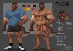 2022 abs angry_face anthro balls bert_(blackclownowo) biceps blackclown00 blue_clothing blue_shirt blue_t-shirt blue_topwear bottomwear brown_body brown_fur brown_hair brown_nipples canid canine canis character_name clothing domestic_dog english_text fur genitals german_shepherd hair herding_dog hi_res male male_only mammal model_sheet nipples obliques pastoral_dog pecs penis quads shirt shorts solo t-shirt text topwear