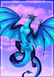 alternate_version_at_source anus balls black_body black_sclera blue_body blue_eyes blue_tongue claws cloud dragon feral genitals horn long_tail male open_mouth penis skeletalheart sky solo tail teeth tongue tongue_out wings wyvern