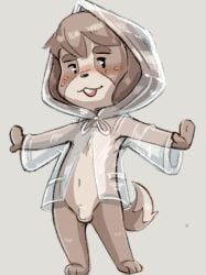 2019 3_toes animal_crossing anthro balls brown_hair canid canine canis clothing coat dandi digby_(animal_crossing) embarrassed eyebrows feet flaccid freckles fur furry furry_only genitals hair half-closed_eyes ineffective_clothing looking_at_viewer male male_only narrowed_eyes navel nintendo open_mouth penis raincoat raincoat_only simple_background solo standing tail teeth toes topwear translucent_raincoat