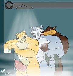 anthro blitz canine dog exile furry furry_only hunter_(road_rovers) indoors male male_only mammal multiple_males muscles no_humans road_rovers shower source_request standing yaoi