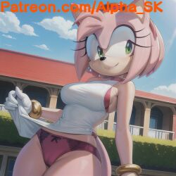 amy rose from sega
