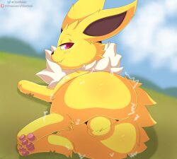 animal_genitalia ass balls big_butt blush canid canine cloudeon digital_media_(artwork) eeveelution feet feral from_behind_position fur generation_1_pokemon genitals hi_res jolteon looking_at_viewer male mammal nintendo nude pawpads paws pokemon pokemon_(species) sex smile solo toes yellow_body yellow_fur