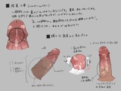 1boy anatomy arrow_(symbol) bara collage cum disembodied_penis educational ejaculation erection foreskin foreskin_folds frenulum highres how_to humanoid_penis inner_foreskin intact japanese_text male male_only original partial_male penis penis_focus penis_only retracted_foreskin shrimp_g_r18 thick_penis translation_request uncensored uncut veins veiny_penis