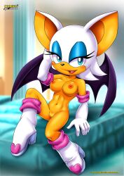 rouge the bat from sega by bbmbbf