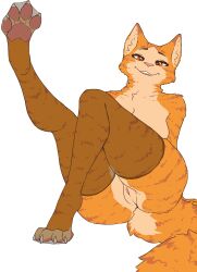 2023 anthro clothing domestic_cat felid feline felis female friskalpox front_view full-length_portrait fur genitals hi_res legwear legwear_only mammal mostly_nude one_leg_up open_mouth open_smile orange_body orange_fur pawpads portrait pussy raised_leg red_eyes simple_background smile solo stockings stockings_only tabby_cat white_background