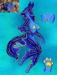 2023 anthro aquatic_gastropod blue_body bodily_fluids breasts dragon female full-length_portrait gastropod genital_fluids genitals hi_res hybrid looking_at_viewer marine mollusk nipples nude nude_female pawpads portrait purple_eyes pussy pussy_juice reference_image sea_slug sea_slug_girl sea_slug_humanoid skye3337 slug solo yellow_nipples yellow_pussy