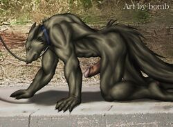 1boy anthro bomb_(artist) canine collar fur furry lead male male_only muscles penis side_view solo wolf