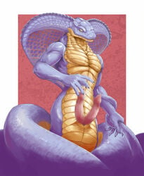 cobra cum dadog diphallia diphallism hemipenes male male_only multi_penis penis scalie snake solo tagme