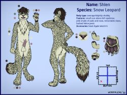 anthro balls clock erection felid genitals hi_res male mammal model_sheet pantherine penile_spines penis retractable_claws scar shlen snow_leopard solo spots watch weremlems