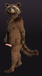 3d_(artwork) 5_fingers 5_toes absurd_res anthro balls biped black_nose blender_(software) brown_body brown_eyes brown_fur cheek_tuft claws digital_media_(artwork) disney erection facial_markings facial_tuft feet finger_claws fingers fur genitals guardians_of_the_galaxy head_markings hi_res looking_at_viewer male male_only mammal markings marvel mask_(marking) multicolored_body multicolored_fur nude penis pink_penis plantigrade procyonid raccoon ring_(marking) ringtail rocket_raccoon rockyrcoon simple_background solo standing tail tail_markings toe_claws toes tuft walking whiskers white_ear_tips white_muzzle