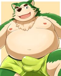 1boy 2023 anthro balls_outline bara belly big_belly bulge canid canine canis clothing domestic_dog fat fat_man genital_outline green_body guratan_wa hi_res kemono lifewonders live_a_hero male male_only mammal mokdai moobs navel nipples overweight overweight_male penis_outline solo underwear