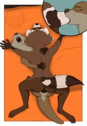 2022 5_fingers absurd_res anthro anthro_on_anthro anthro_penetrated anthro_penetrating anthro_penetrating_anthro anus ass backsack balls bird's-eye_view brown_body brown_fur brown_nose claws closed_eyes duo feet female female_on_bottom female_penetrated finger_claws fingers from_front_position fur genitals guardians_of_the_galaxy hand_on_back hi_res high-angle_view hindpaw humanoid_hands interspecies kiss_on_lips kissing looking_pleasured lying lylla male male/female male_on_top male_penetrating male_penetrating_female mammal markings marvel missionary_position mustelid on_back on_bottom on_top otter paws penetration penile penile_penetration penis_in_pussy procyonid raccoon ring_(marking) ringtail rocket_raccoon romantic romantic_couple romantic_sex sex silentbandit tail tail_markings toe_claws toes vaginal_penetration vaginal_penetration whiskers