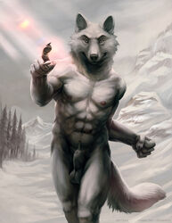 1boy 2011 anthro balls canine fur furry kaji male male_only nude outdoors pointing_at_viewer sheath snow solo winter wolf