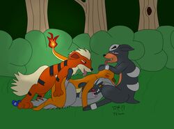 arcanine interspecies pokemon pokemon_(species) sex tagme telem