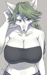 aky_sg6 anthro bandeau bare_shoulders big_breasts black_clothing braided_hair breasts canid canine cleavage clothed clothing eyebrow_through_hair eyebrows female fur green_hair grey_background grey_body grey_fur hair half-length_portrait huge_breasts kemono looking_at_viewer mammal midriff multicolored_body multicolored_fur navel nipple_outline ponytail portrait purple_eyes raised_arm sgsix simple_background solo topwear translucent translucent_hair two_tone_body two_tone_fur white_body white_fur