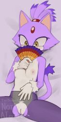 2023 5_fingers anthro areola blaze_the_cat blush breasts clothing covering covering_mouth digital_media_(artwork) domestic_cat felid feline felis female female_anthro fingers fur genitals gloves hair handwear hi_res kemono legwear mammal mostly_nude nipples pink_body pink_fur pussy sega small_breasts solo sonic_(series) sonic_the_hedgehog_(series) spread_legs spreading stockings tail torn_clothing translucent translucent_clothing watermark white_body white_fur yoako