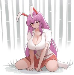 absurdres animal_ears blouse bobby_socks breasts cleavage female highres large_breasts light_purple_hair long_hair mata_(matasoup) orange_skirt pleated_skirt puffy_short_sleeves puffy_sleeves purple_hair rabbit_ears rabbit_girl rabbit_tail red_eyes reisen_udongein_inaba shirt short_sleeves simple_background sitting skirt socks solo tail touhou very_long_hair wariza white_background