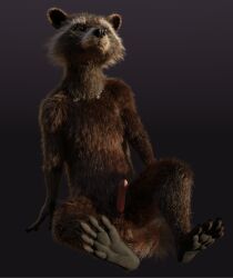 3d_(artwork) 5_fingers 5_toes absurd_res anthro balls biped black_nose blender_(software) brown_body brown_eyes brown_fur cheek_tuft claws digital_media_(artwork) disney erection facial_markings facial_tuft feet finger_claws fingers fur genitals guardians_of_the_galaxy head_markings hi_res male male_only mammal markings marvel mask_(marking) multicolored_body multicolored_fur nude penis pink_penis plantigrade procyonid raccoon ring_(marking) ringtail rocket_raccoon rockyrcoon simple_background sitting solo spread_legs spreading tail tail_markings toe_claws toes tuft whiskers white_ear_tips white_muzzle