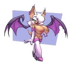 rouge the bat from sonic (series) by bigdad
