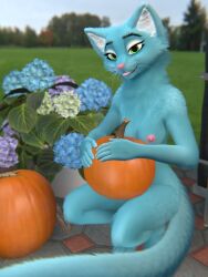 anthro bananastheleech blep blue_body blue_fur breasts crouching felid female food fruit fur hi_res holding_object kraft_trio mammal nipples notched_ear nude outside pink_nipples plant pumpkin solo tongue tongue_out whiskers